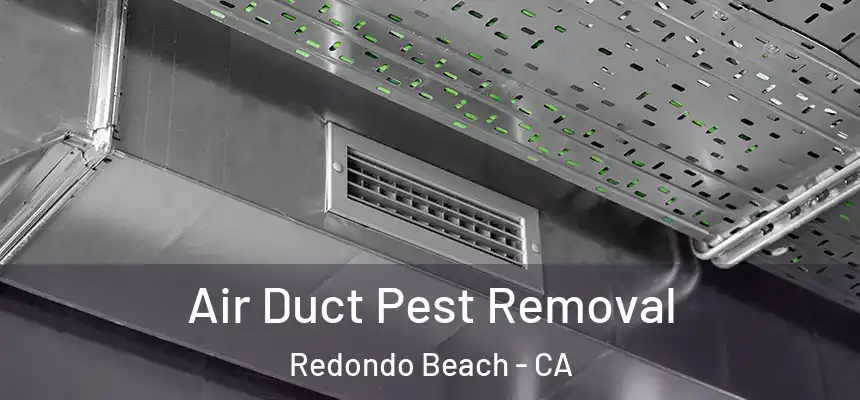  Air Duct Pest Removal Redondo Beach - CA