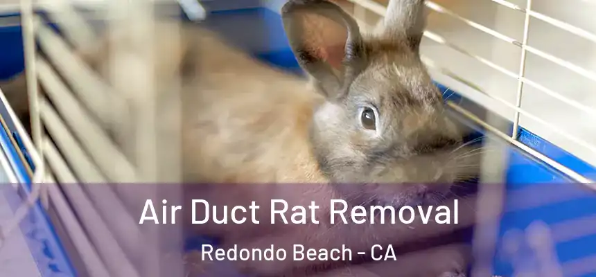 Air Duct Rat Removal Redondo Beach - CA