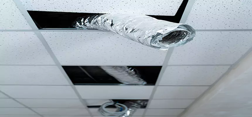 Our Air Duct Pet Hair Removal Services in Redondo Beach, CA