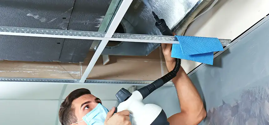 Our Air Duct Rodent Removal Services in Redondo Beach, CA