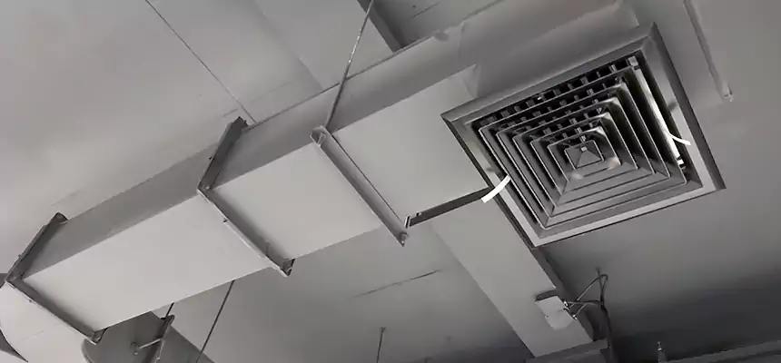 Restorative Allergy Relief Vent Cleaning – Coil, Blower & Housing Detail in Redondo Beach