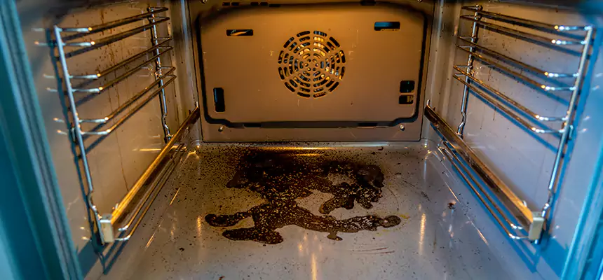 Our Dryer Vent Mold Cleaning Services in Redondo Beach, CA