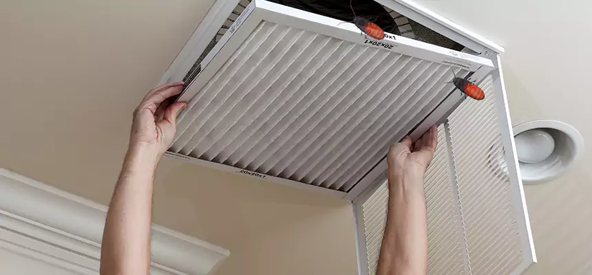 Our Insect Removal from Air Ducts Services in Redondo Beach, CA