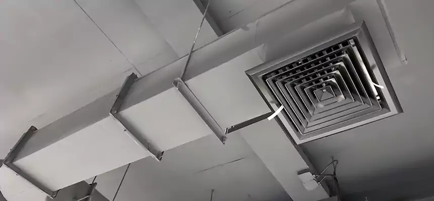 Our Pest Removal From Ducts Services in Redondo Beach, CA