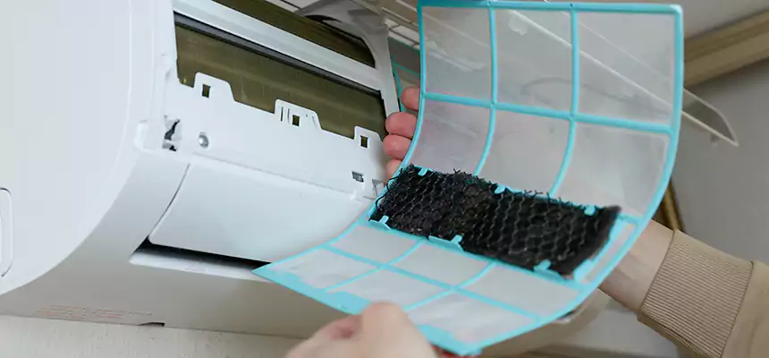 Gentle Ductwork Odor-Control Pet Dander Duct Cleaning in Redondo Beach, CA