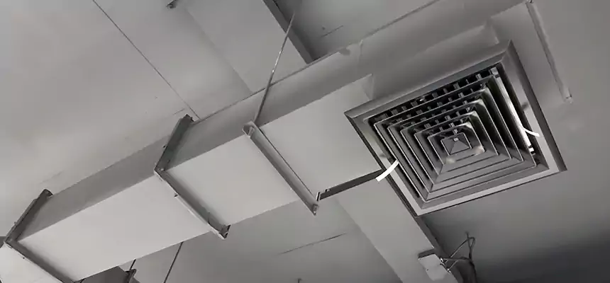 Our Rodent Droppings In Vents Services in Redondo Beach, CA