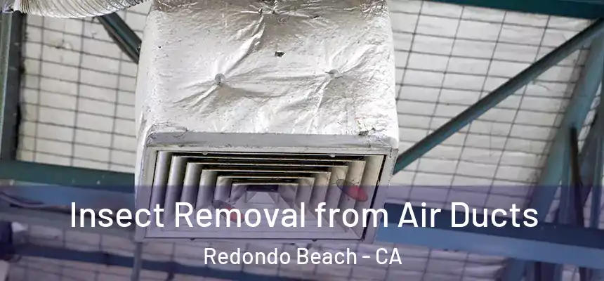  Insect Removal from Air Ducts Redondo Beach - CA