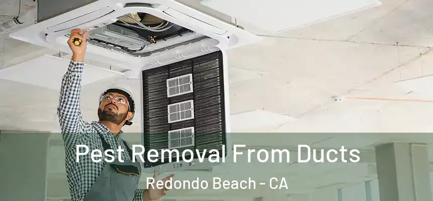  Pest Removal From Ducts Redondo Beach - CA