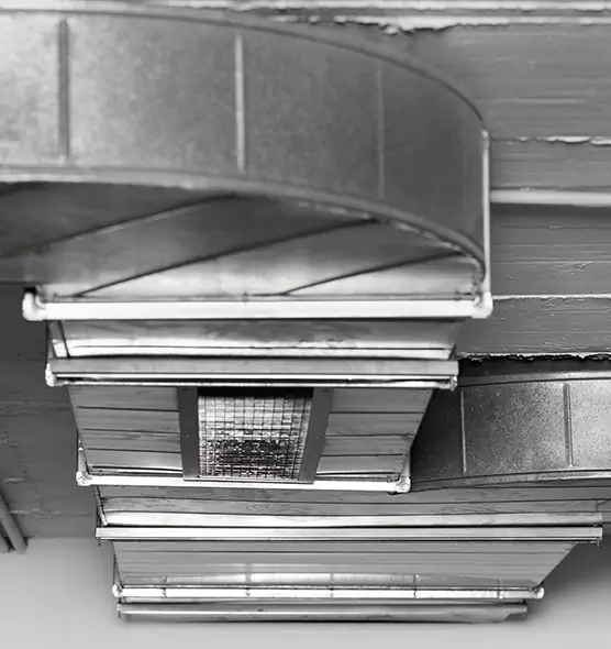 Professional Air Duct Pet Hair Removal in Redondo Beach, CA