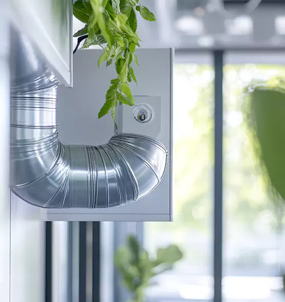 Professional Eco-Safe Dryer Vent Cleaning in Redondo Beach, CA