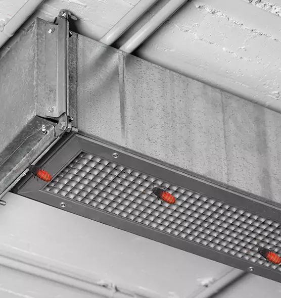 Affordable Insect Removal from Air Ducts in Redondo Beach, CA