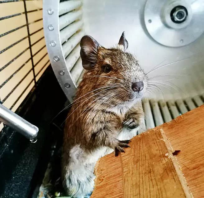 Why Homeowners & Businesses Trust Us Redondo Beach, CA