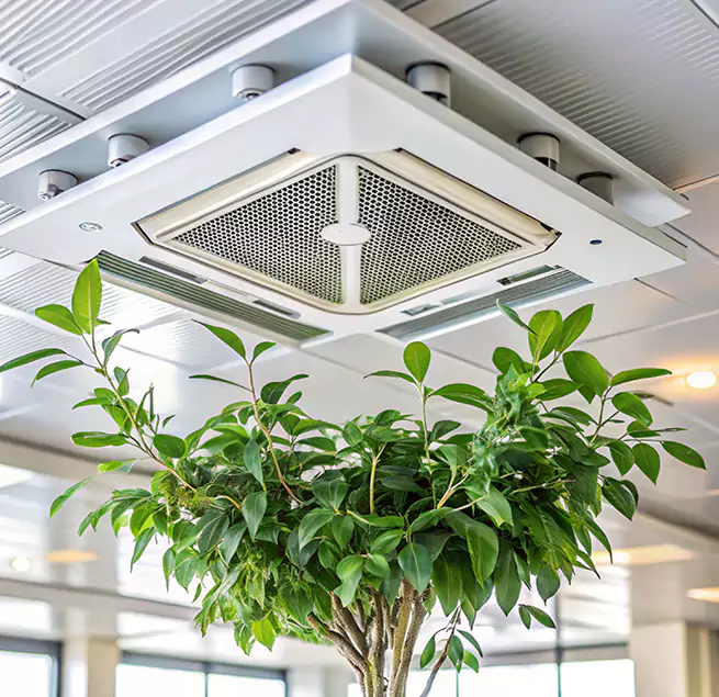 Why Homeowners & Businesses Trust Us in Redondo Beach, CA