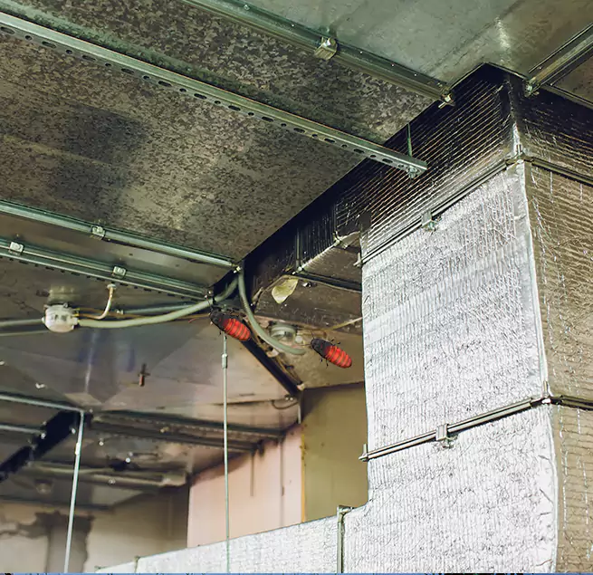 Why Homeowners & Businesses Trust Us Redondo Beach, CA?